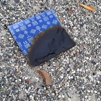 20251026_101315.jpg
